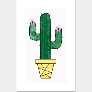 CUTE And Prickly Cactus - Cactus Art Posters and Art